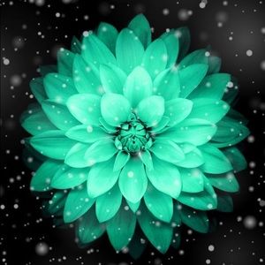 Meet your Posher, Jada